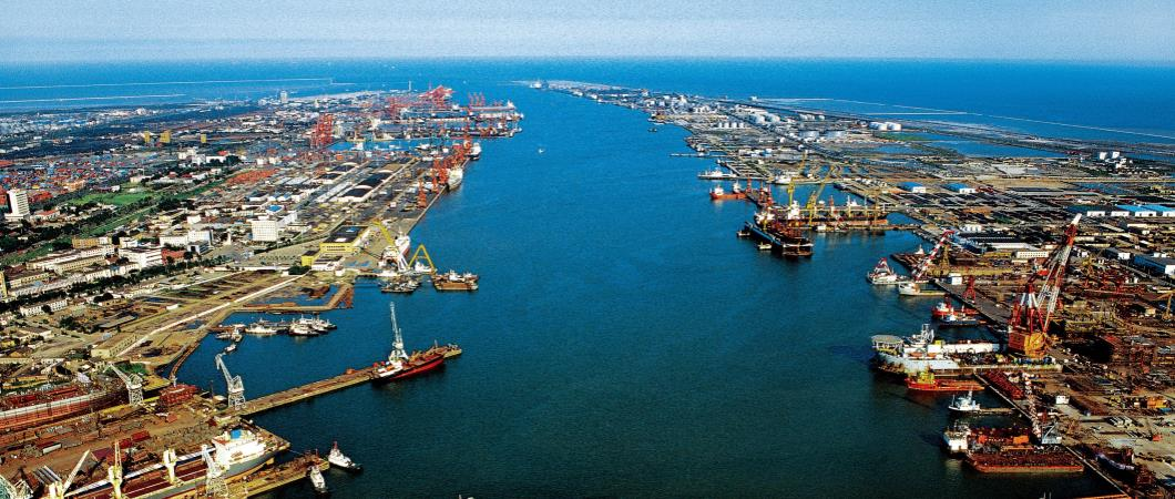 【诚信建设万里行】东疆管委会积极推进信用宣传工作常态化