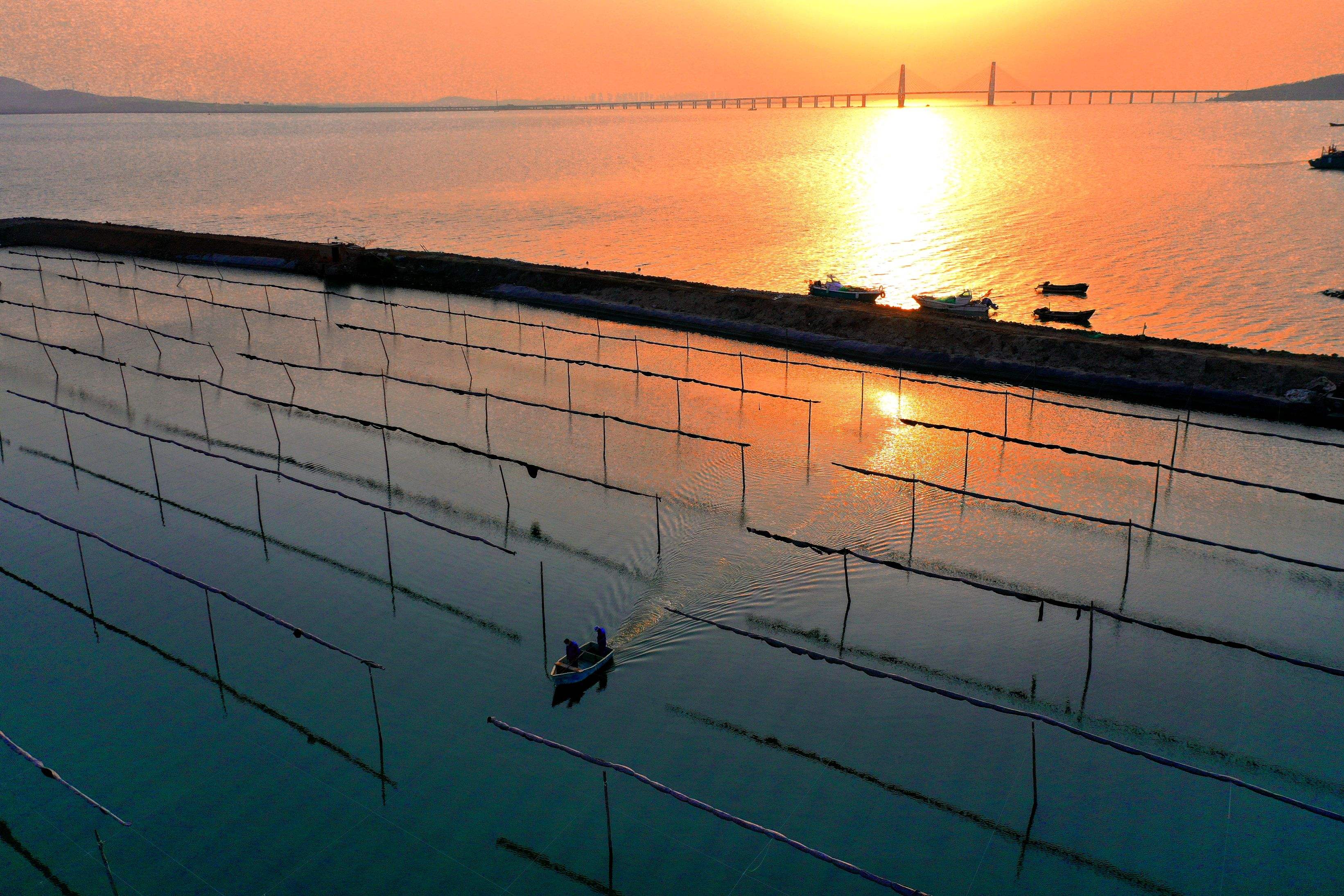 海南发布中国首部休闲渔业行业自律行为规范
